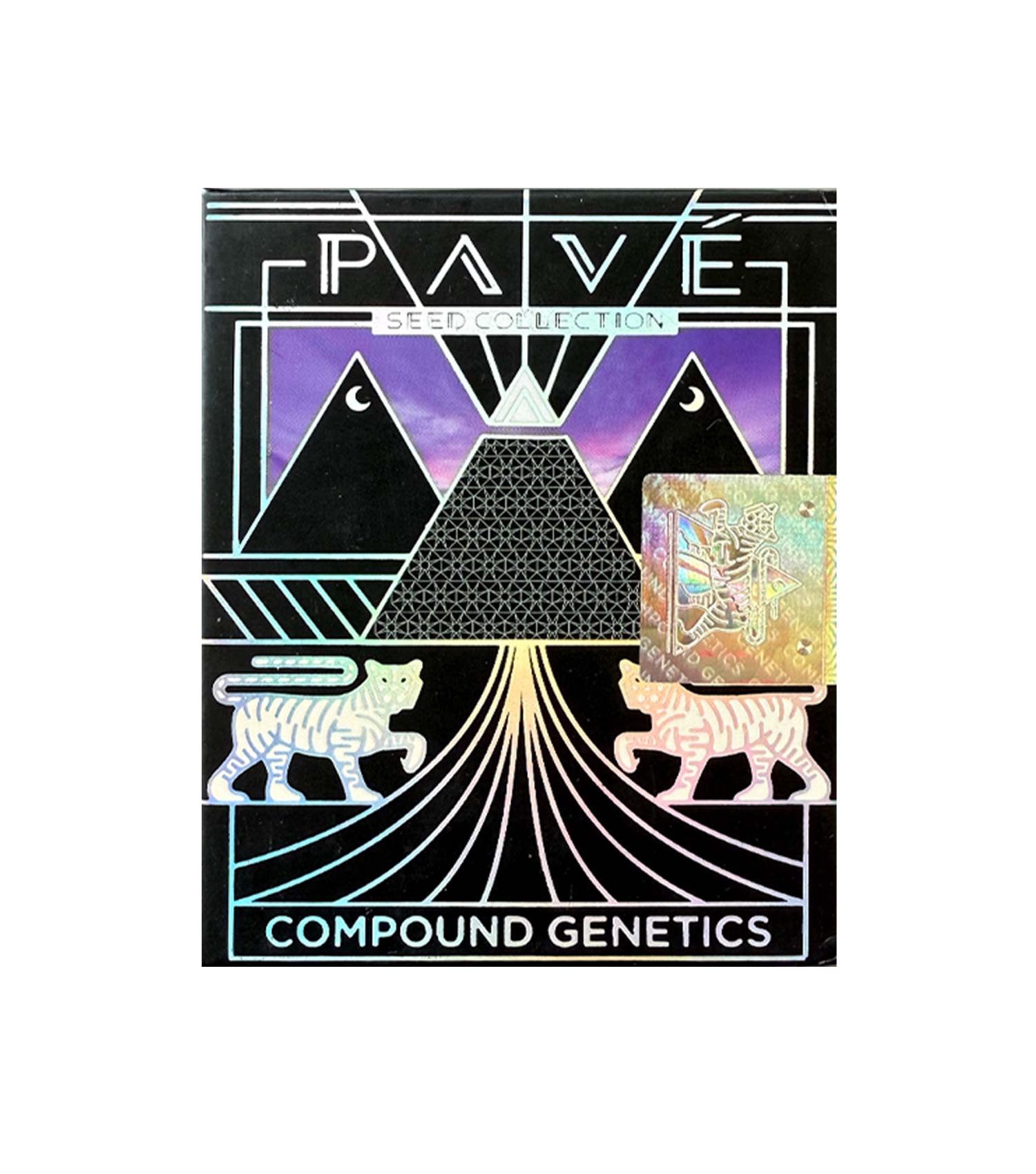 Compound Genetics Pave Honeycomb Pavé (3 Stk. | Feminisiert) - Compound Genetics | WS-CG-HP-3